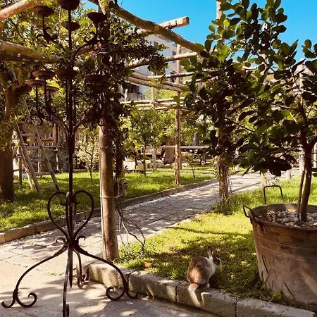 Casa Lucia Sorrento