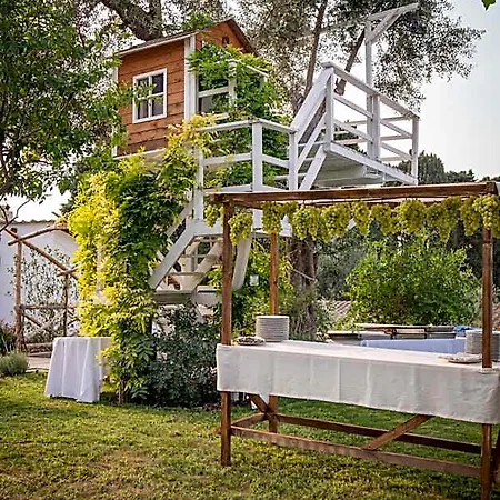 Bed & Breakfast Casa Lucia Sorrento
